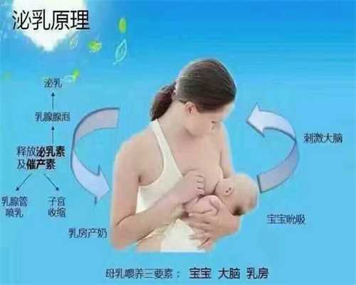 北京代孕2个月肚子有多大
